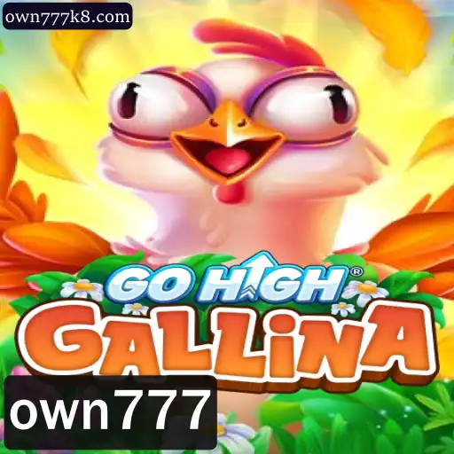 Explorando GoHighGallina: Tudo sobre o Jogo e Suas Regras Empolgantes