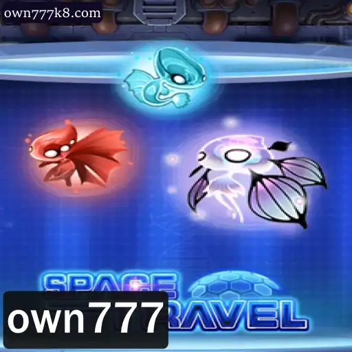 Descubra o Fascinante Mundo de SpaceTravel